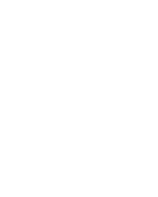 Sandiane LLC
